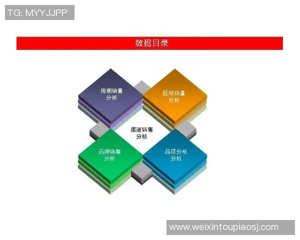 北京攀岩队技术表现的数据分析与训练策略探讨
