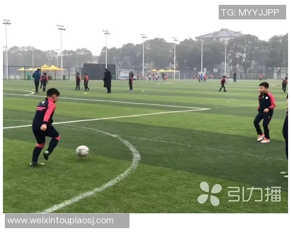 足球场地建设与维护成本分析及其对青少年足球发展的影响探讨