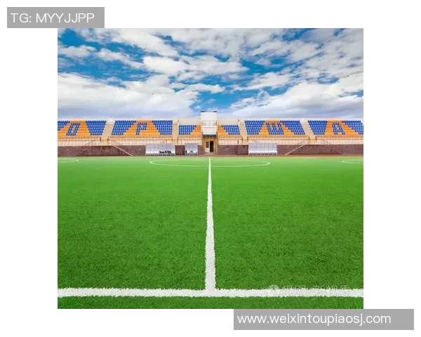 赣商足球崛起之路探索地方足球发展与商业合作的新机遇与挑战